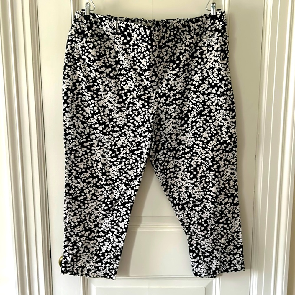 Talbots crop pants — with front and rear slit pockets 20W